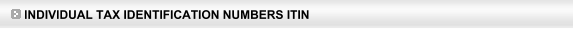 Individual Tax Identification Numbers ITIN - (929) 290-8609