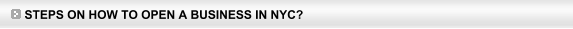 Steps on how to open a business in NYC? - (929) 290-8609